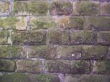 Background of old square stone bricks partially covered with moss and mildew with worn out mortar and copy space