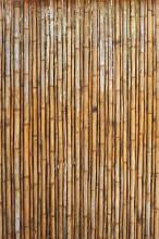 Tall vertical old strong bamboo fence as simple nature background with copy space
