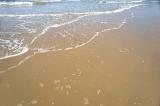 Wet beach sand with scattered frothy bubbles from the tide at the edge of the sea with lapping water
