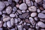 Rounded or water worn pebbles in shades of grey background texture and pattern viewed in a layer from overhead
