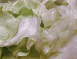 Close up on sliced pieces of iceberg lettuce leaves as background about food and nutrition