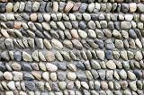 Rows of smooth stones stuck in cement or gravel for background concept about nature and order