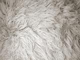 Shaggy soft clumped white rug full frame background with copy space