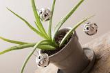 angled view of a small plant decorated with silver christmas bells