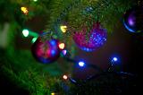 Close up of purple baubles and colorful fairy lights on Christmas tree branches