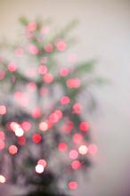 a defocused view of red trinkle lights on a tree for use as a background