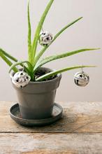 a small aloe plant with silver jingle bells on a rustic table