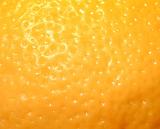 Background texture of fresh yellow lemon peel showing the pitted texture of the surface of the skin