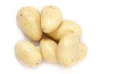 Farm fresh washed baby potatoes piled on a white background with copyspace