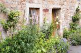 Country garden with shrubs and flowering plants surrounding a rustic brick house and doorway