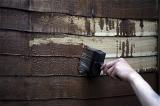 Man painting an exterior timber building with creosote paint rich in phenols and creosols as a preservative and disinfectant for the wood