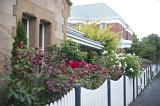 Street view of neat colorful front gardens full of flowering plants behind white picket fences in front of a stone house and cottages