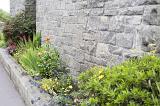 Leafy green garden border along a stone wall of a country cottage in an oblique receding view