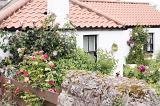 Pretty summer garden with flowering red roses behind a rustic stone wall with house in the background
