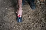 Close up of the hand of a man digging in garden soil with a trowel as he prepares the earth for plantings seeds or seedlings