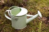 Small white metal vintage watering can with large spout standing on moss and grass outdoors in a garden viewed high angle