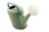 Green plastic watering can on white with a high angle close up view of the large perforated nozzle on the spout for creating a fine spray of water
