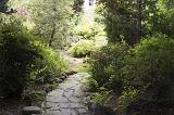 Crazy paving path leading through leafy green bushes to a secret garden in a scenic landscape