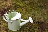 Small vintage watering can on the ground in garden, viewed from high angle with copy space
