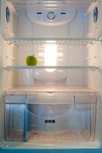 Inside of a domestic fridge showing shelves and a transparent drawer empty but for one single green apple