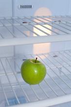 One green apple in an empty fridge