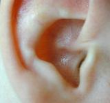 Extreme Anatomy Close Up of Human Ear