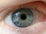 Human eye looking straight with blue iris, concept of vision, visual perception or spirituality, close-up