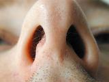 Close up view up a mans nose and nostrils with stubble on the upper lip