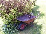 Wheelbarrow on a garden lawn standing alongside a flowerbed with shrubs in a concept of nature and garden maintenance