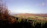 View over evergreen Welsh pine forests to rolling hills and agricultural pasture below under a sunny blue sky