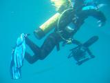 a scuba diver and camera underwater