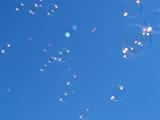 carefree - bubbles floating in the sky, light and free as the wind