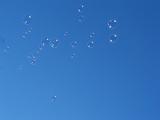 bubbles floating in the sky, light and free as the wind