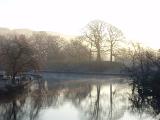a restful winter scene, still water and trees