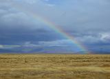 rainbow on the plains, a happy natural display in new zealand