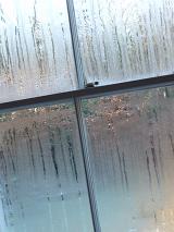 condensation on a window, trapped or stuck indoors in cold damp weather