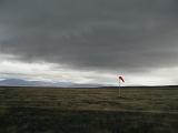 stormy planes in newzealand, a single red windsock forms a moody atmospheric image