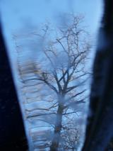 reflection on frosty metal of a winter tree and blue sky