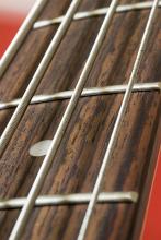 a macro image of the neck of a guitar, frets and strings
