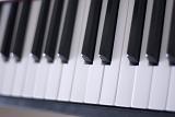 rows of keys on a piano keyboard
