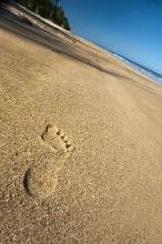 footprints in the sand, a walk along a deseted tropical beach