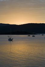 the quietness at sunset looking out across boats on a calm ocean lit by a golden glow
