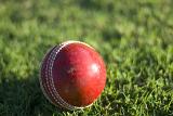 a red leather traditional cricket ball