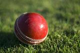 a red leather cricketball on grass