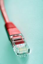 A close up of a red ethernet network cable plug on isolated on a plain blue background.