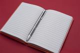 Open lined notebook with a ballpoint pen in the center. There is room to put your message on both pages