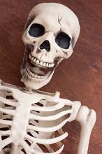 a whimsical halloween skeleton, pictured on a wooden background